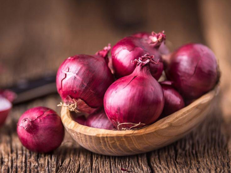 peralatan pengiris bawang usaha kecil