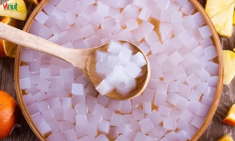 tahap fermentasi nata de coco