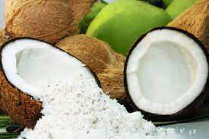 bisnis jasa parut kelapa