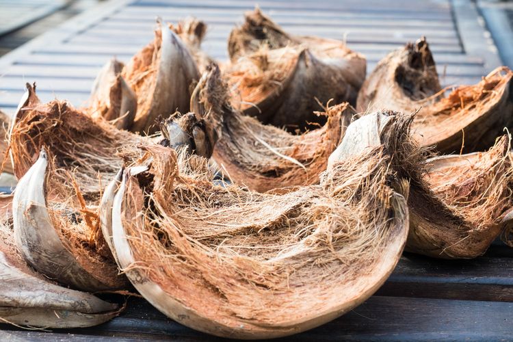 Pengembangan Produk Hijau Berbahan Sabut Kelapa