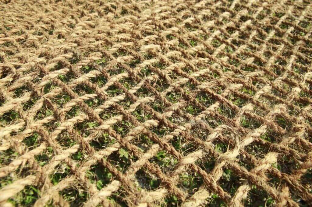 Proses Produksi Cocomesh untuk Pasar Global