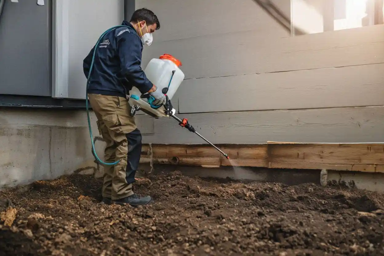 Teknisi melakukan treatment jasa anti rayap rating terbaik pada area fondasi rumah