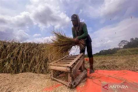 cara meningkatkan produktivitas jasa perontokan