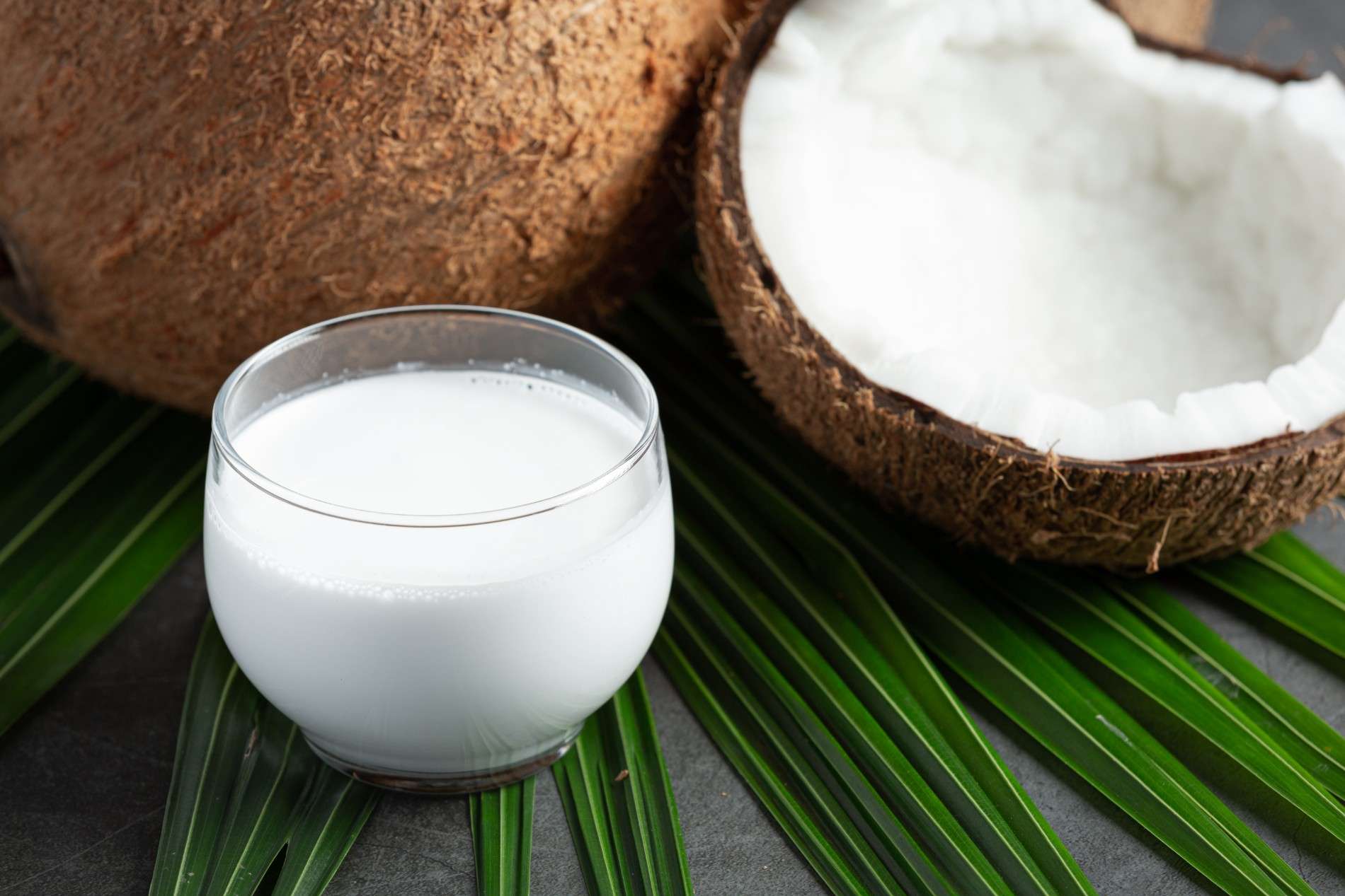 jenis kelapa yang tepat untuk santan