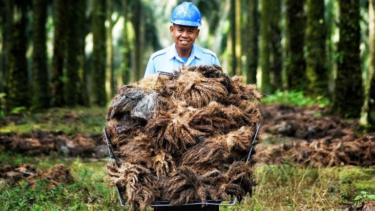 Pengolahan Limbah Pertanian Ramah Lingkungan